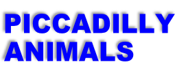 PICCADILLY