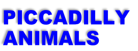 PICCADILLY
